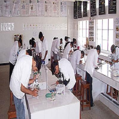 Satara College of Pharmacy Campus photo 3